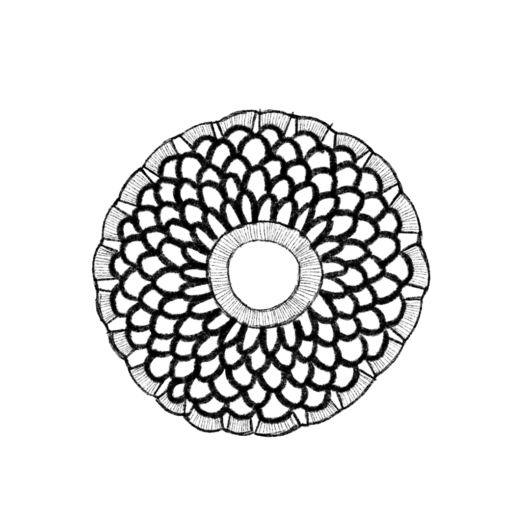 Lace